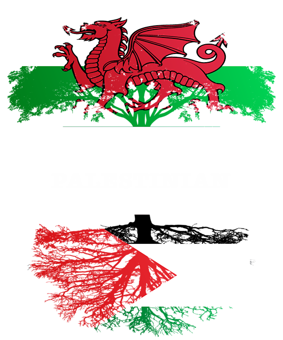 Welsh Grown With Palestinian Roots Women's T-Shirt by Jose O - Pixels