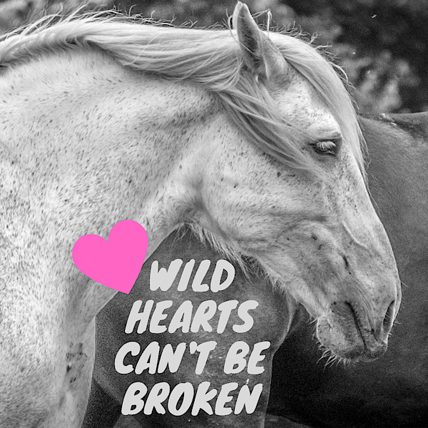 Wild Hearts Can't Be Broken