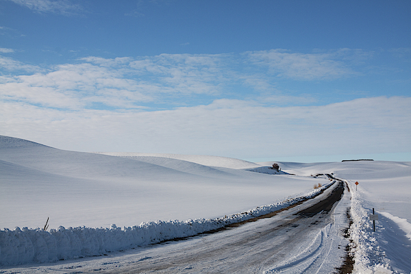 Tatiana Travelways - Winter Country Road