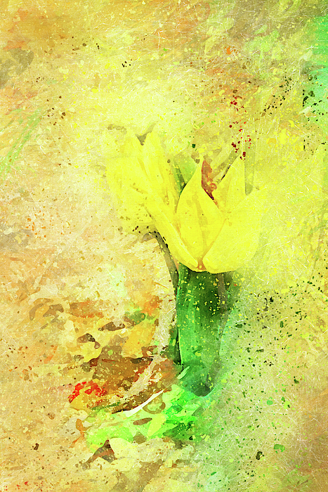 Kay Brewer - Yellow Tulip Scatter