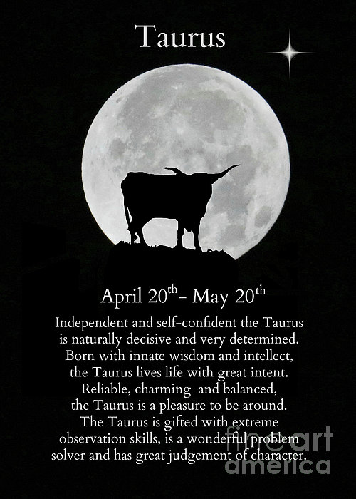 Zodiac Sign of Taurus the Bull April through May Birthdays Ornament by Stephanie Laird - Pixels
