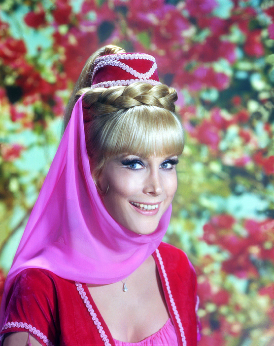 i dream of jeannie costume for kids