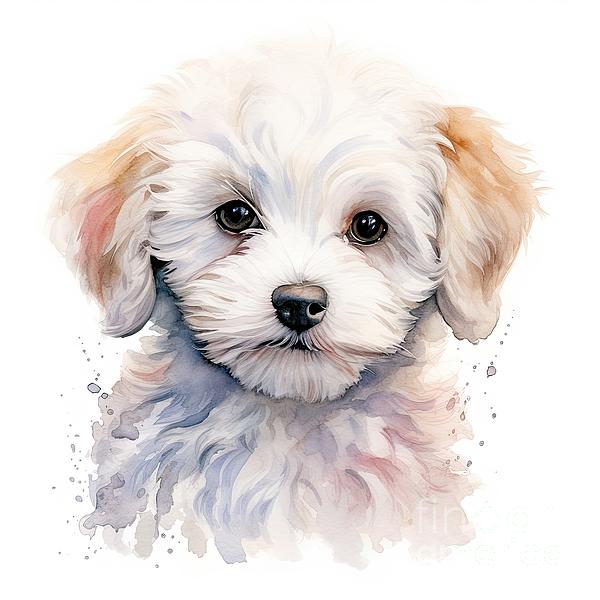 Pocket Bichon Frise Puppy! Cute Dog Lover T-Shirt Pocket Bichon Frise Puppy! Cute Dog Lover T-Shirt