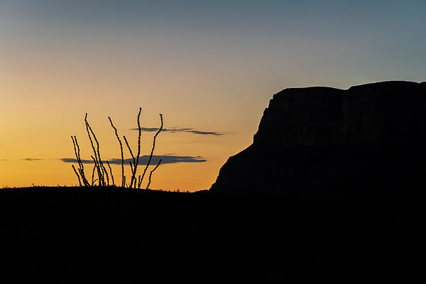 Sunrise Art