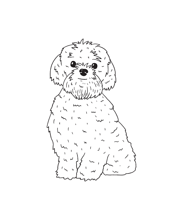 I Love my Bolonka and 3 other people T-Shirt