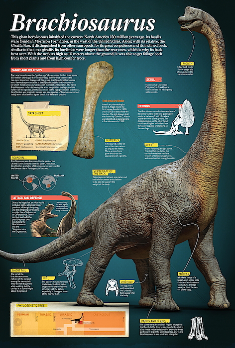 Dinosaur Digital+art