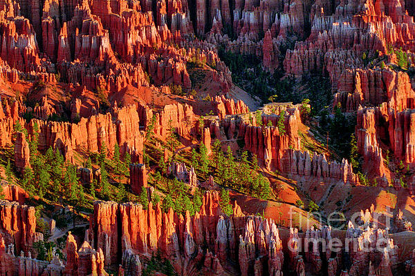 Outside Bryce - Print of Painting of the View from Outside Bryce store Canyon National Park