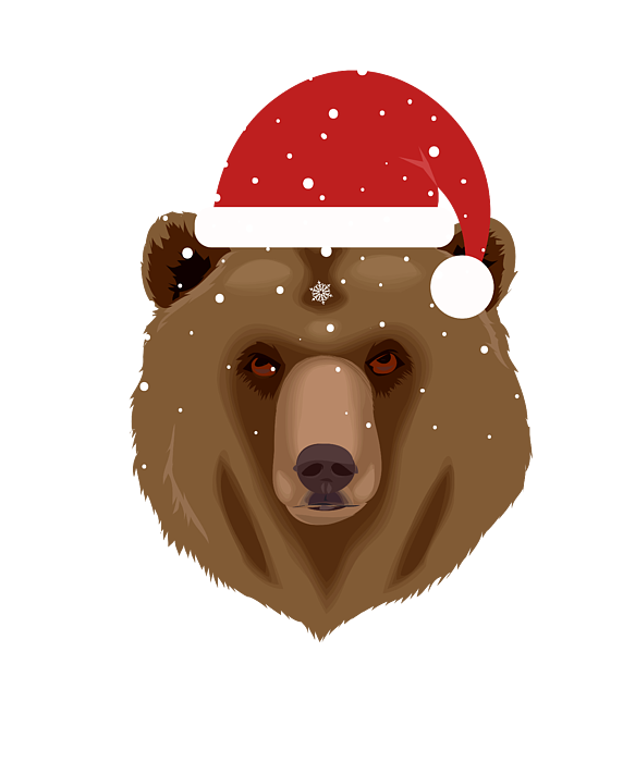 bear wearing santa hat