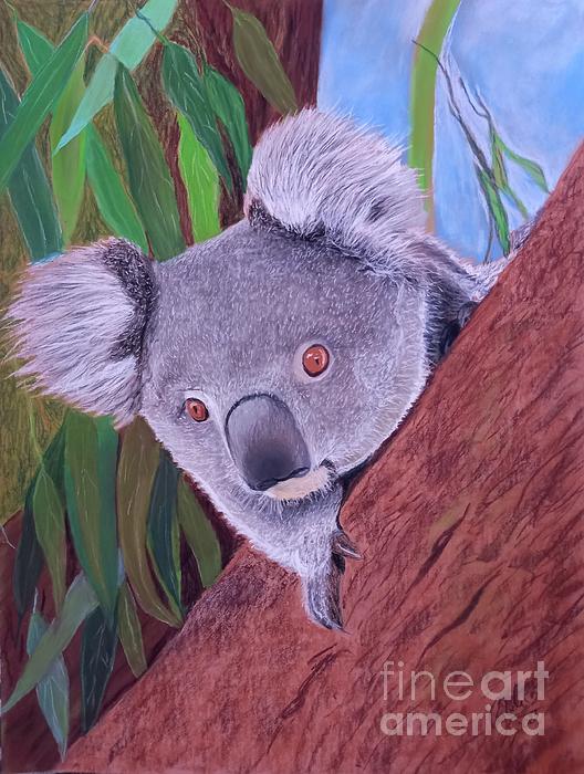 Cybele Chaves - Cute koala
