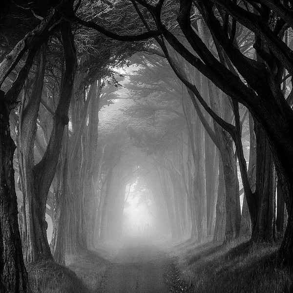 Mysterious Art