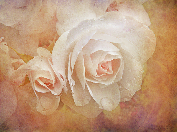 Jennie Marie Schell - Dreaming of Peach Roses