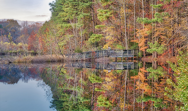 Reflection Art