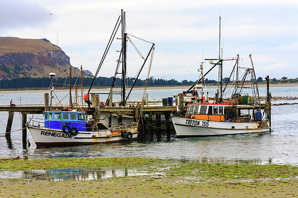 Kevin Hellon -  Fishing boats moored at a pier
