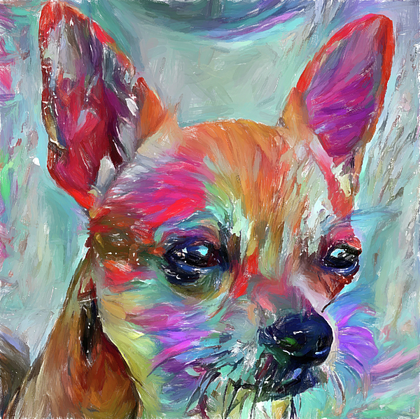 The Chihuahua ( dog breed ) - online puzzle