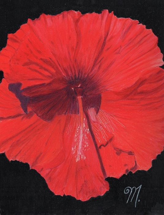 Maureen Arcangel - Orange flower