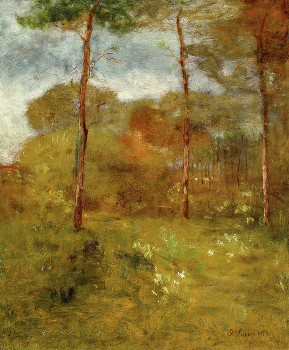 Nature Paintings