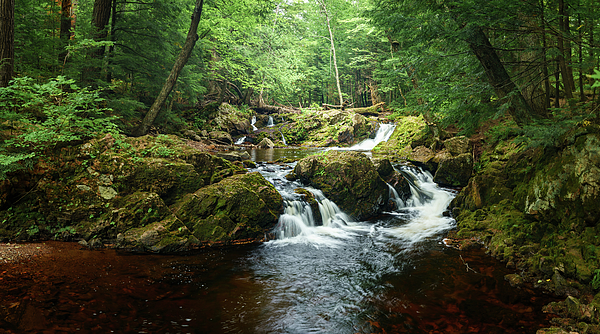 Wilderness Photographs