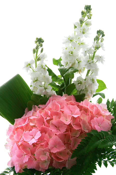 Masha Batkova - Pink and White Flowers Bouquet