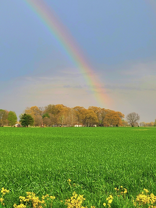 Ally White - Rainbow Near Murray, Kentucky 