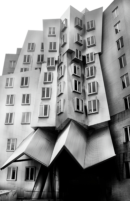 ray and maria stata center