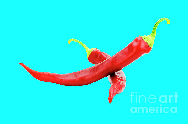 Premium Photo  Red hot chili pepper isolated