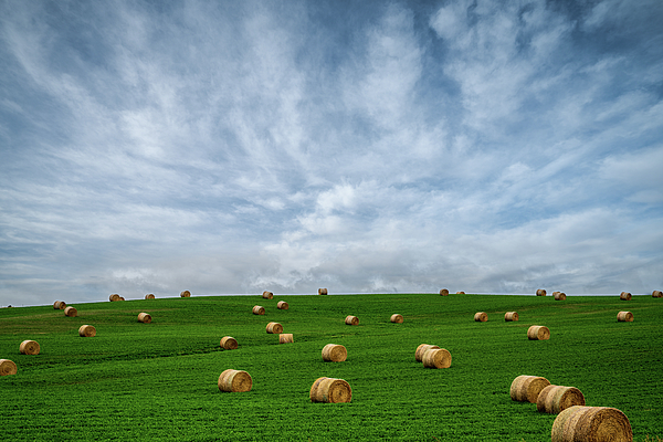 North Dakota Art