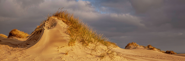 Sand Land #1 Weekender Tote Bag by Judy Foote-Belleci - Pixels