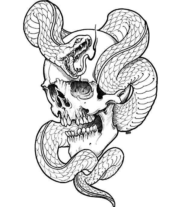 Skull and Snake Greeting Card by Skull and Snake