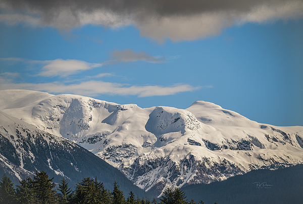 Alaska Art