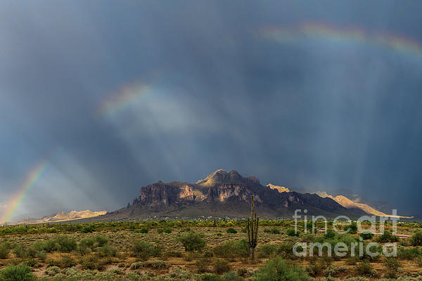 Arizona Art