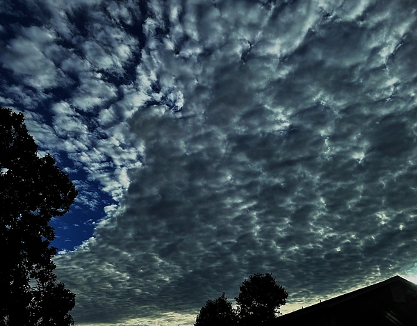 Thomas Brewster - Stunning gray clouds