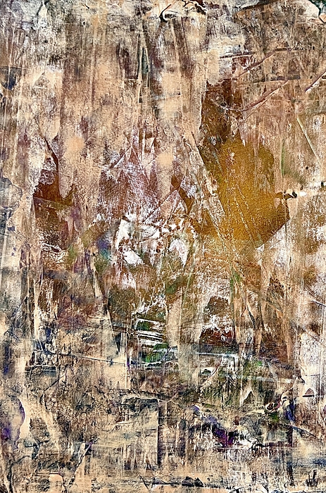 Rustic Photographs