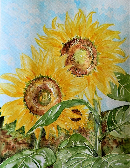 Sunflower hand discount towels for bathroom