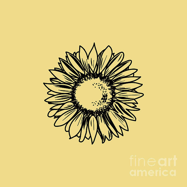 Sunflower Hand Drawn Vector Illustration. Floral Ink Pen Sketch. Black And  White Clipart. Realistic Wildflower Freehand Drawing. Isolated Monochrome  Floral Design Element. Sketched Outline Royalty Free SVG, Cliparts,  Vectors, and Stock Illustration.