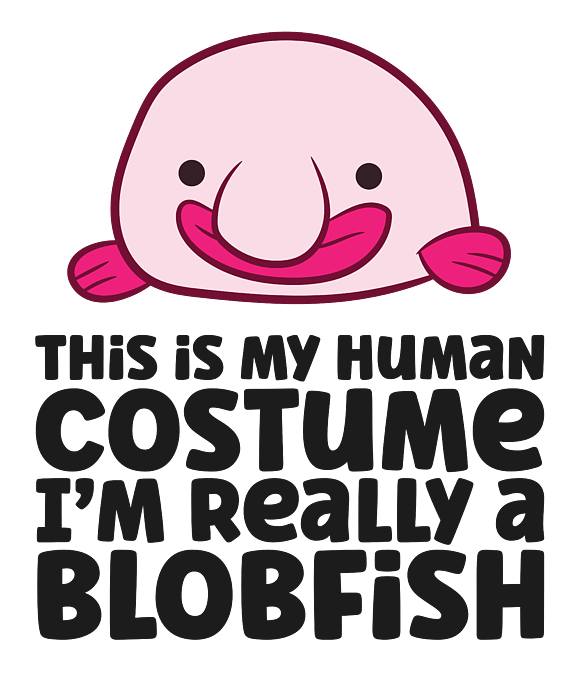 It's Blobfish's birthday  Blobfish, What's so funny, Easy anime cosplay