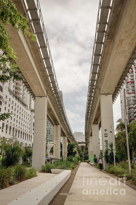 Underline Miami walking and biking path under the Miami Metrorai ...