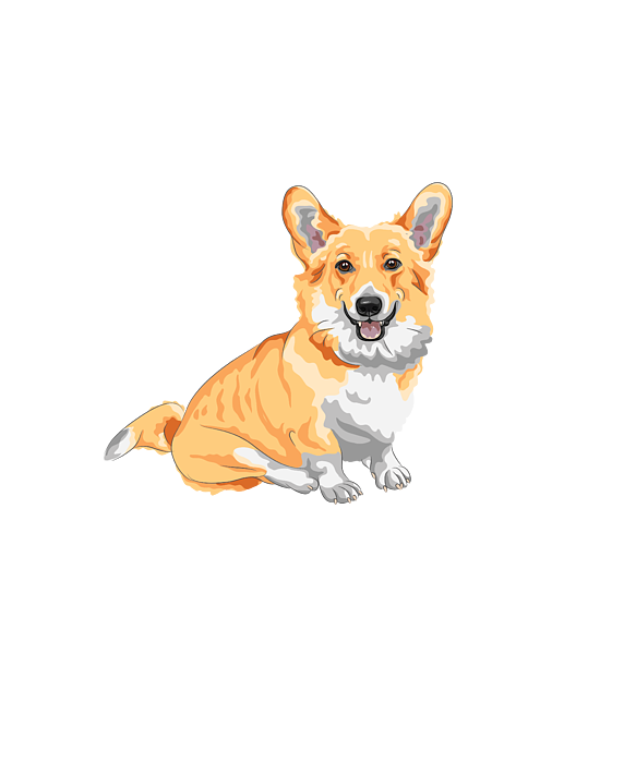 Welsh hot sale corgi lovers