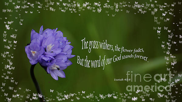 Word of God stands forever {Pouch} Word of God stands forever {Pouch}