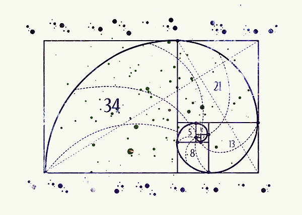 Fibonacci Sequence Watercolor Print Science Art Illustration Fibonacci ...
