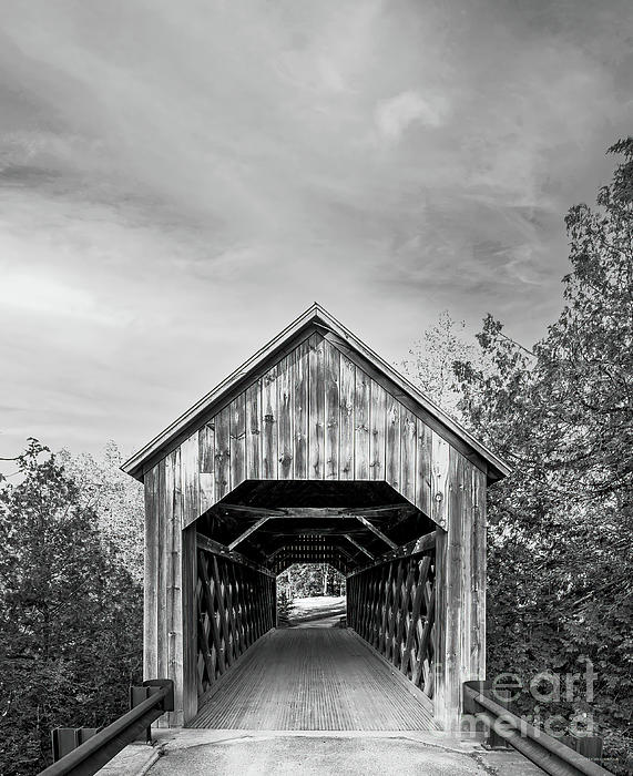 Landscape Photographs