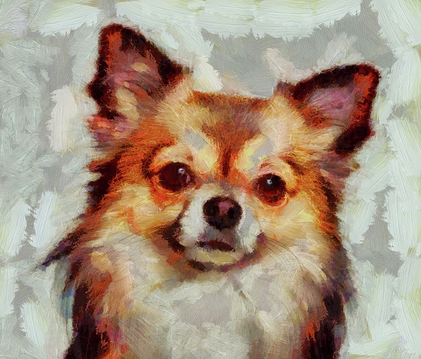 Mexican Chihuahua Dog #3 Jigsaw Puzzle