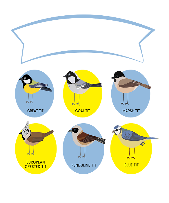 Nice Tits Bird Birds Watching Tit Nature #2 Round Beach Towel by Mooon Tees  - Pixels