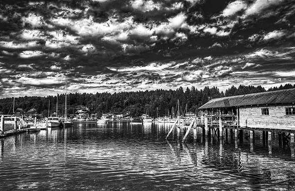 Mountain Dreams - Picturesque Gig Harbor, Washington