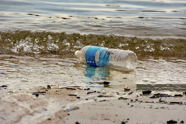 Plastic water bottle trash on a bay polluting the ocean. Plastic #4 by Bill  Roque