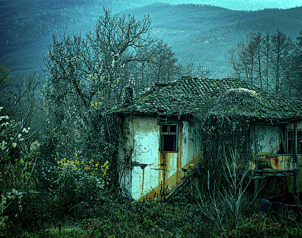 Rustic Art