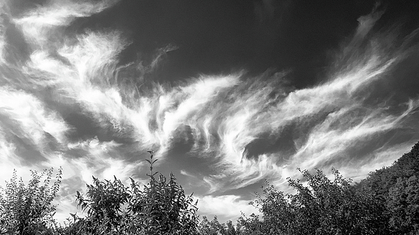 Sky Art