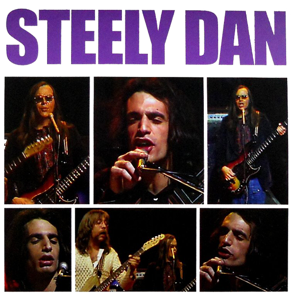 Steely Dan - Hey Nineteen Tee