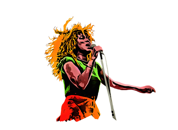 Tina Turner collection - 2 T-Shirt for Sale by Sergey Lukashin