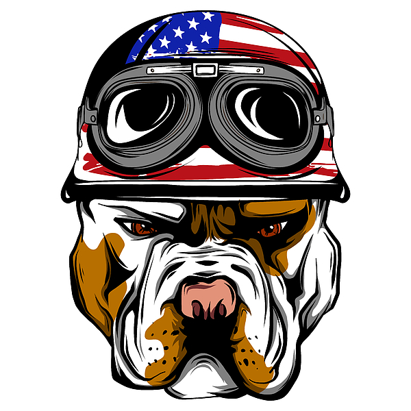 bulldog motorcycle helmet