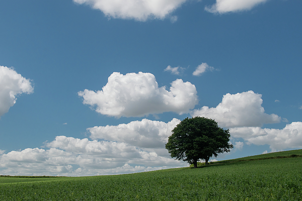 View over fields and rolling hills in English countryside during summer ...